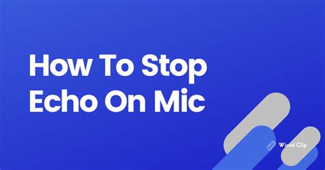 stop echo   mic