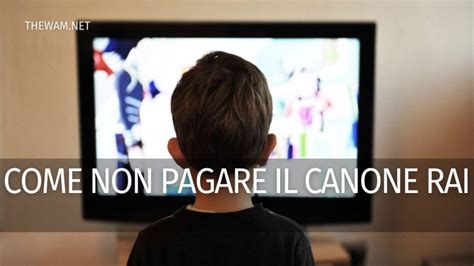 Canone Rai 2023 Come Non Pagare Guida E Moduli