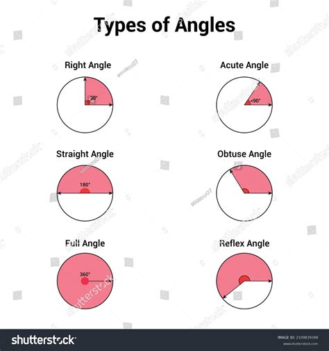 Types Angles Acute Obtuse Right Straight Stock Vector Royalty Free