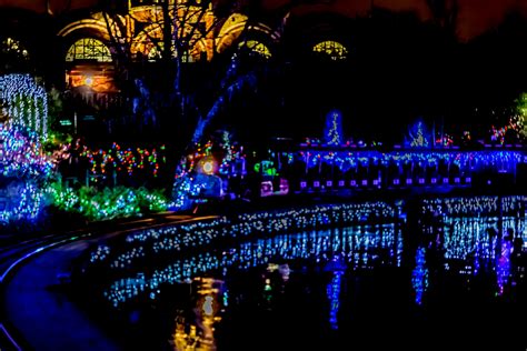 Pnc Festival Of Lights Cincinnati Zoo Come Visit Until Jan 1 The Bbandt