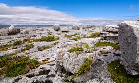 Der Burren