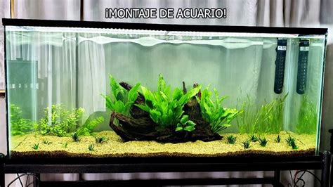 Montando ACUARIO PLANTADO De 350 Litros PARA PECES DISCOS AcuariosLP