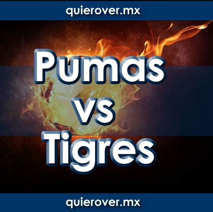 Pumas vs Tigres Boletos 01/09/2024 Precios y Lugares - Quierover.mx ...