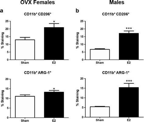 E2 Promotes Anti Inflammatory Splenic Macrophages In Males And Ovx