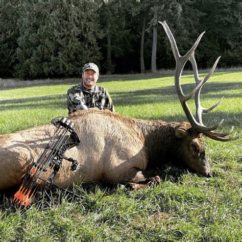 Vancouver Island Roosevelt Elk Hunt In Vancouver Island British