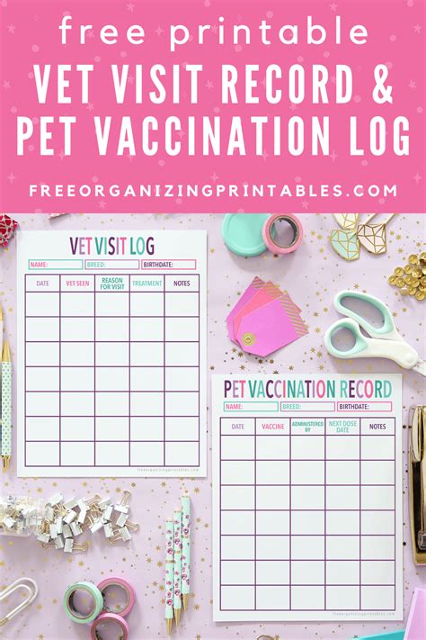 Printable Vet Record Template And Pet Vaccination Record