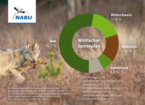 Landesfachausschuss Wolf In Nrw Nabu Nahrung Des Wolfes