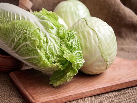 Cabbage Vs Lettuce 7 Key Differences And Health Benefits 2024