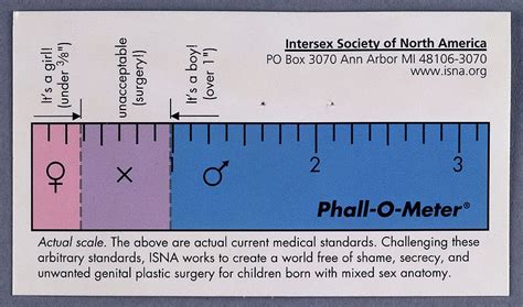 Phall O Meter Wikipedia