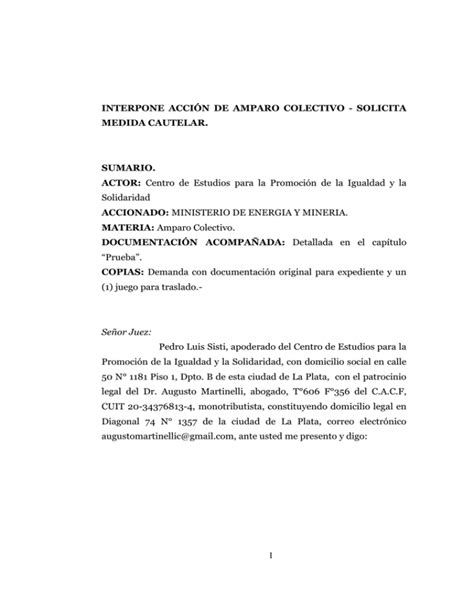 1 INTERPONE ACCIÓN DE AMPARO COLECTIVO