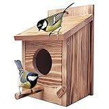 Las Mejores Cajas De Nido Para Aves Silvestres Del