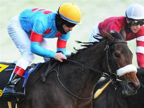 【目黒記念】凱旋門賞登録のサリエラ きょうだい3頭目の重賞勝ちなるか 競馬ニュース Netkeiba