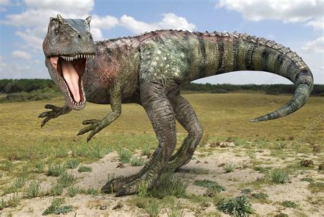 Allosaurus Dinosaur Artwork Stock Image E4460672 Science Photo