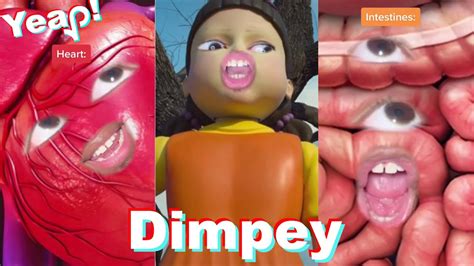 1 HOUR Best Of Dimpey6 TikTok Compilation Funny ImDimpey TikToks Of