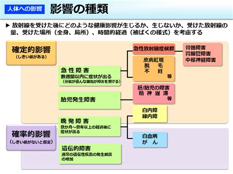 放射線 人体 へ の 影響 図