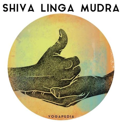 Yogapedia on Instagram: “Shiva linga mudra is a Sanskrit term for a ...