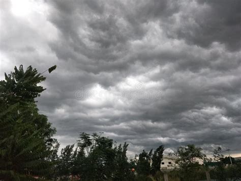 White clouds form rain stock photo. Image of plant, water - 204298638