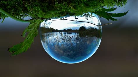 7 Tips For Doing Crystal Ball Refraction Photography