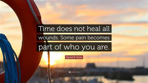 David R Dow Quote Time Does Not Heal All Wounds Some Pain Becomes