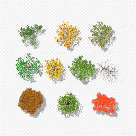 植物平面树psd图片素材免费下载 觅知网