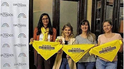 Ley De Endometriosis Esperan Que El Senado La Apruebe