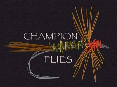 Champion Flies Drywet Box Meander Fly Co