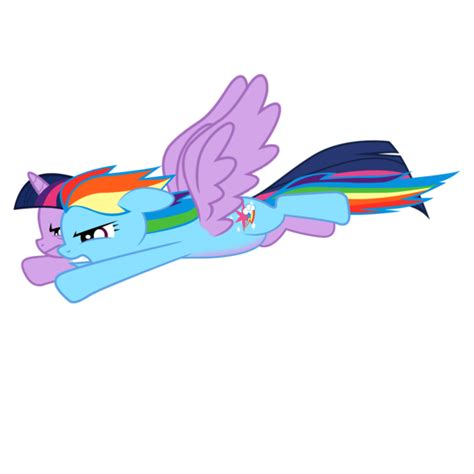 Princess Twilight Sparkle And Rainbow Dash Flying