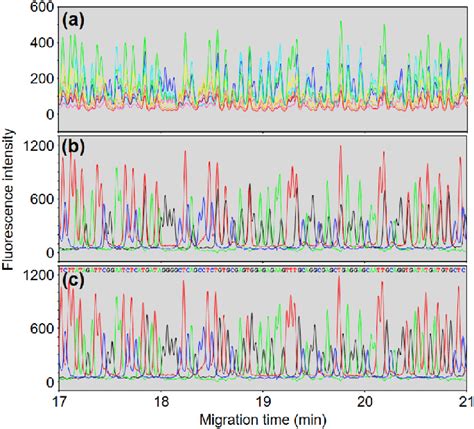 A Seven Color Electropherogram Of Separation Of A Dna Sequencing Download Scientific Diagram