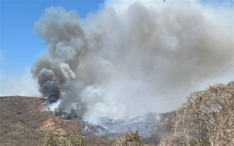 Hay En Guerrero Cuatro Incendios Forestales Activos El Sol De San