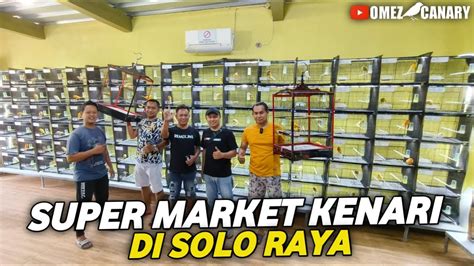 Review Pusat Kenari Import Solorayaratusan Kenari Yorkshire Postur