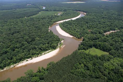 Pearl River – America's Most Endangered Rivers® of 2024