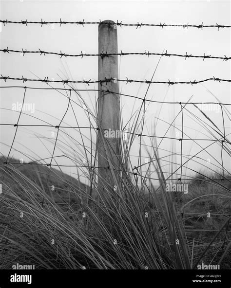 Post and Wire Fence Stock Photo - Alamy