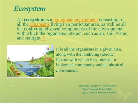 Environment Every Organism In This Earth Is Surrounded