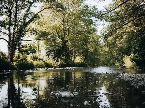 Scenic View Of River With Trees On The Riverbanks · Free Stock Photo