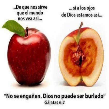 Reflexiones En Base A La Palabra De Dios - Imagenes Bonitas