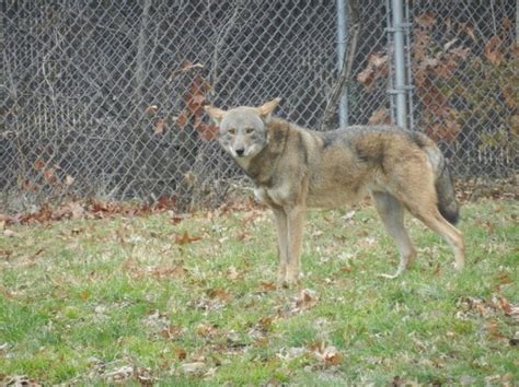 Miller Park Zoo | Illinois Zoos