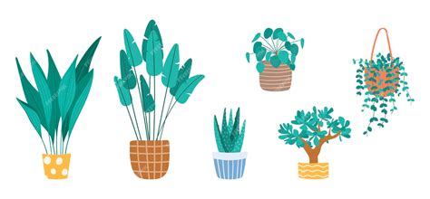 Premium Vector Set Of Cartoon Vector Tropical House Plants In Pots