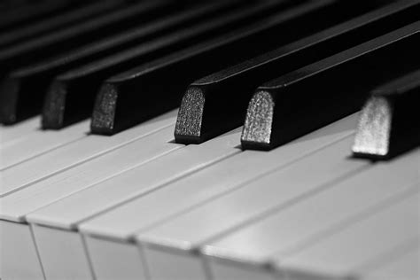 Piano Keyboard Keys Musical Free Photo On Pixabay Pixabay