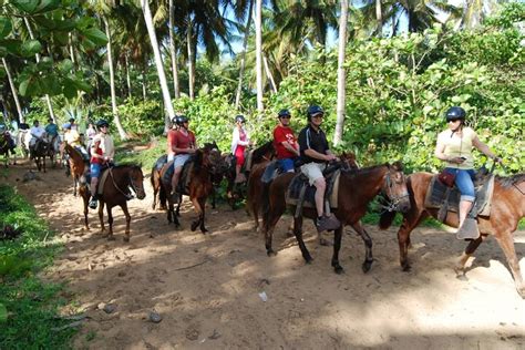 Reittour entlang der Strände von Punta Cana zur Verfügung gestellt von