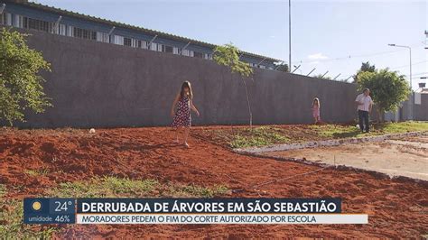 Moradores De S O Sebasti O Reclamam De Derrubada De Rvores Em Volta De