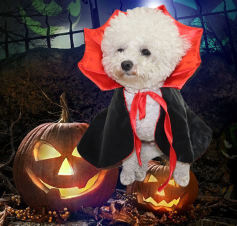 Poodle Halloween Costume Dog Dog Clothes Halloween Vampire Vampire