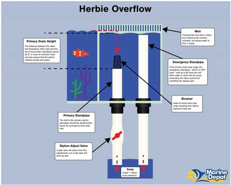 Part 09 Saltwater Tanks Demystifiedplumbing Sumps And Refugiums