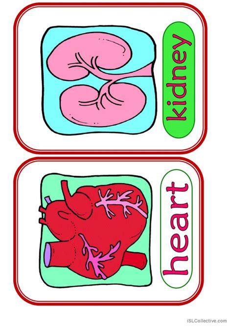 Body Parts #2 vocabulary flashcards…: English ESL worksheets pdf & doc