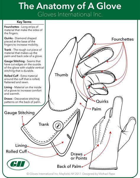 The Anatomy Of A Glove Artofit