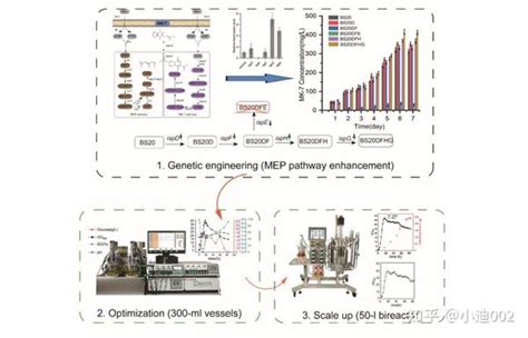 Minibox平行生物反应器应用 工艺优化增加枯草芽孢杆菌中维生素k2合成 知乎