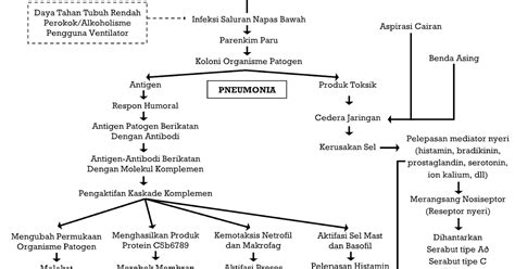 Pathway Pneumonia