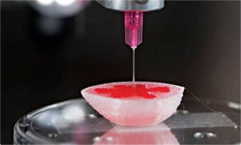 D Bioprinting The Future Of Primary Cell Culture Kosheeka