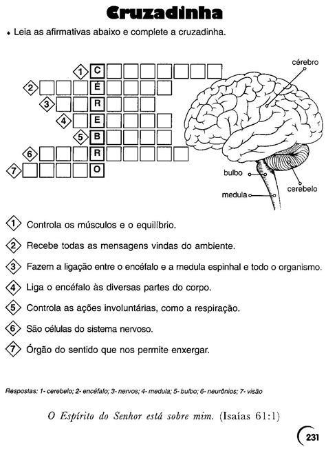 Sistema Digestivo Ano Image To U