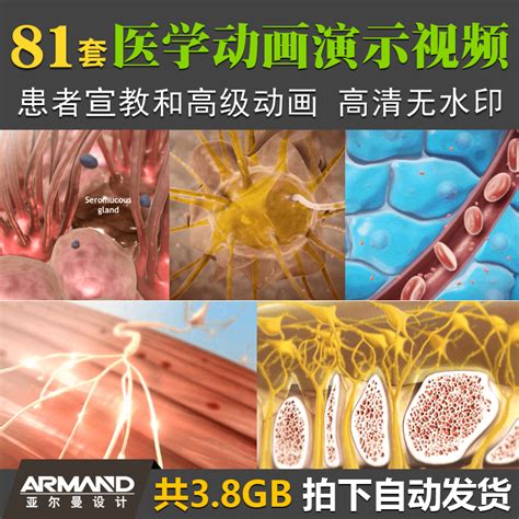 医学3d动画演示高清视频患者宣教心脏心血管功能呼吸系统泌尿系统 Taobao