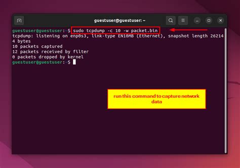 Best Ways To Use Linux Hexdump Command